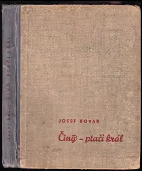 Název varianty