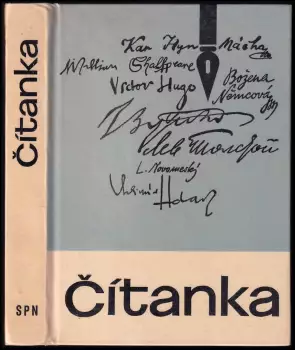 Název varianty