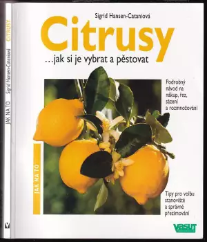 Název varianty
