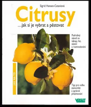Název varianty