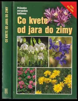 Název varianty