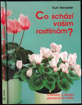 Název varianty