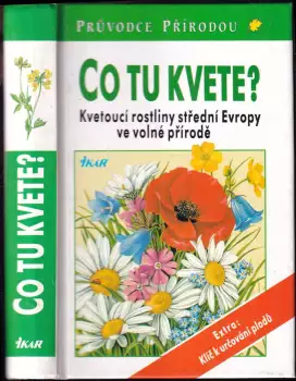 Název varianty