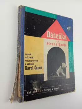 Název obrázku