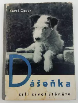 Název obrázku
