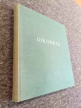 Název obrázku