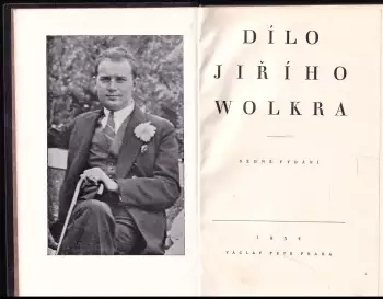 Název obrázku