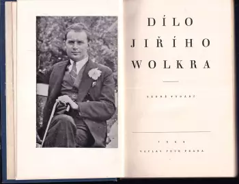 Název obrázku