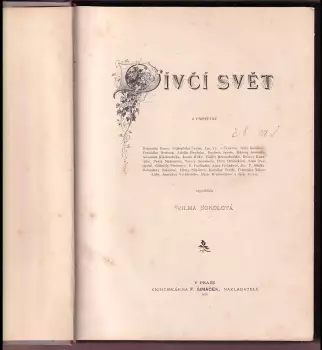Název obrázku