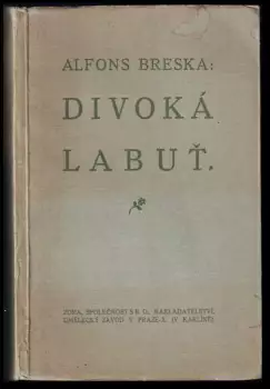 Název varianty