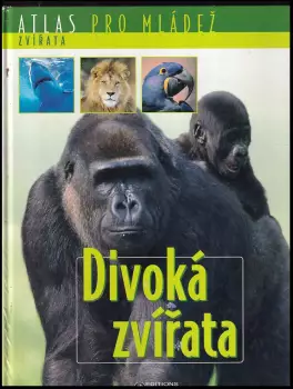 Název obrázku