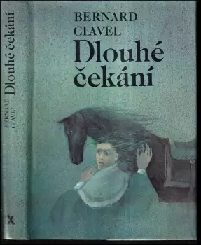 Název varianty