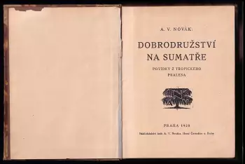 Název obrázku