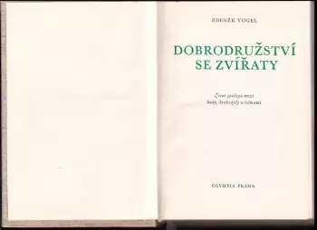Název obrázku