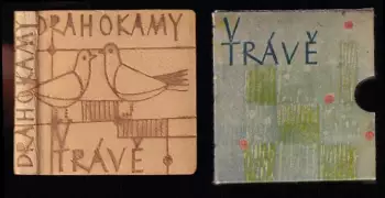 Název varianty