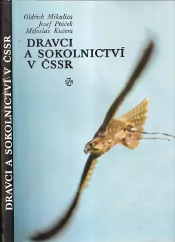 Název obrázku