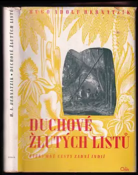 Název varianty