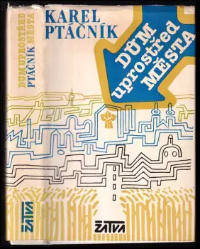 Název varianty