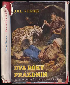 Obrázek varianty