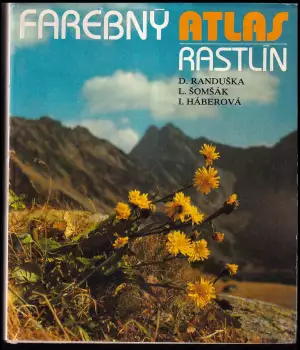 Název varianty