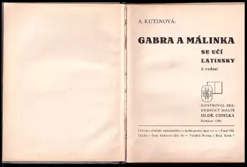 Název obrázku