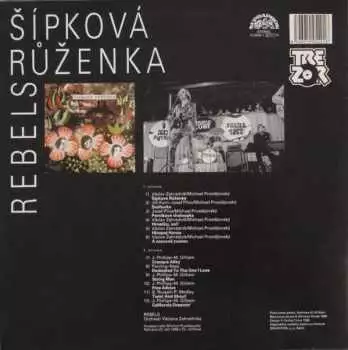 Název obrázku