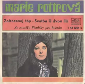 Název obrázku