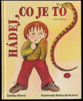 Název varianty