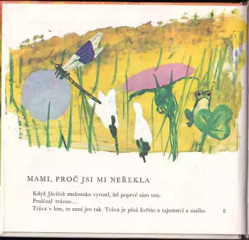 Název obrázku