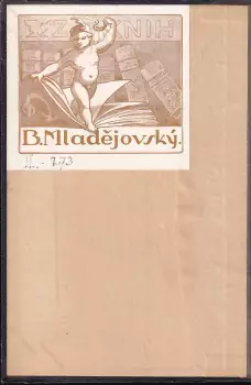 Název obrázku