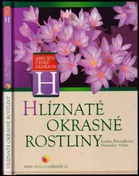 Název varianty