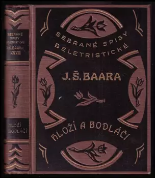 Název obrázku