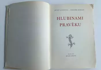 Název obrázku