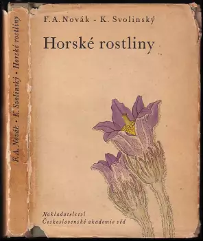 Název varianty