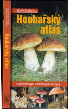 Název obrázku