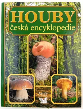 Název obrázku
