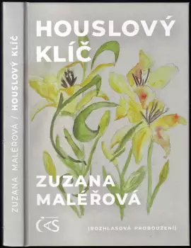 Název varianty