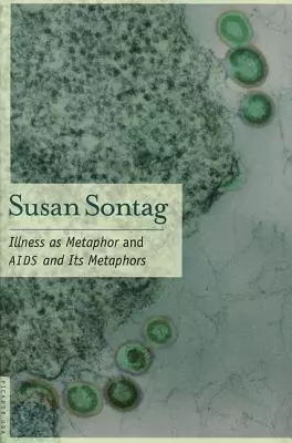 Jan Sládek: Metaphor and irony