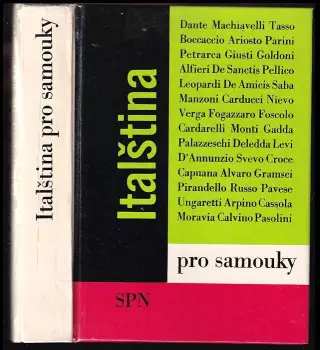Název varianty