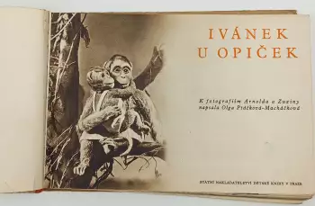 Název obrázku