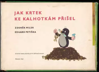 Název obrázku