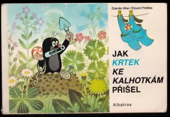 Název varianty