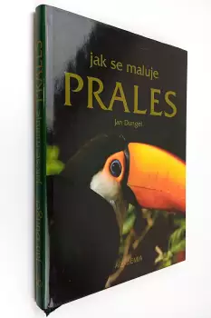 Název obrázku