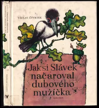 Název varianty