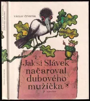 Název varianty