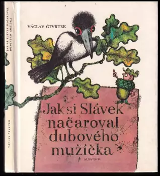 Název varianty