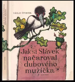 Název varianty
