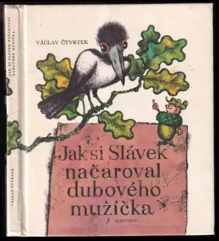 Název varianty