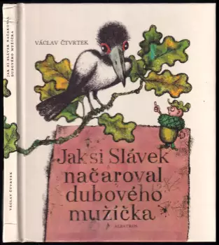 Název varianty