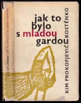 Obrázek varianty